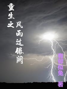 重生之风雨过银阙