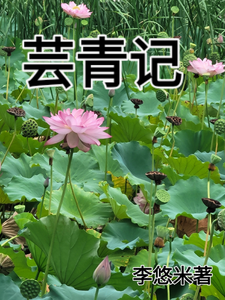 芸青记